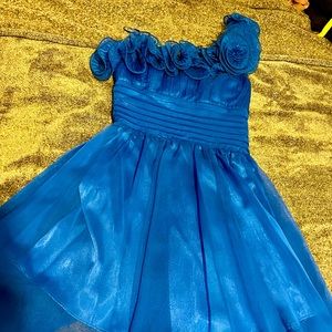 Blue Dress (ball gown) knee length.